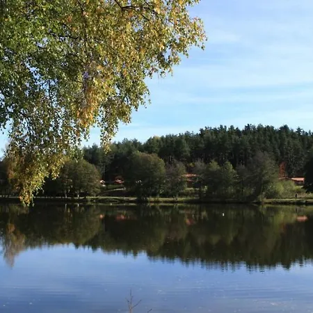 Holiday home Aux 3 Provinces Usson-en-Forez